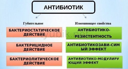 Действие антибиотиков на микробную клетку
