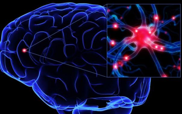 глиатилин цена