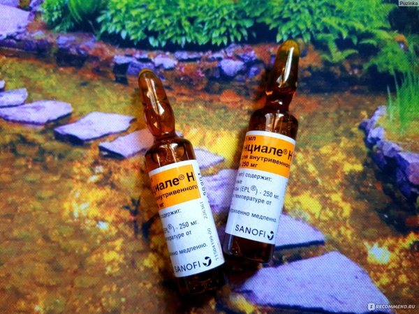 Характеристика и формы выпуска