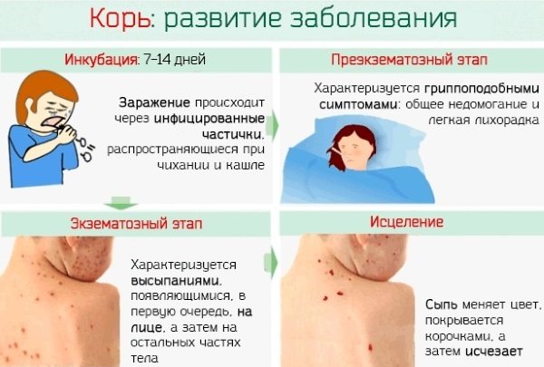 Кожные высыпания. Фото и описание на теле, лице у взрослых, детей. Лечение