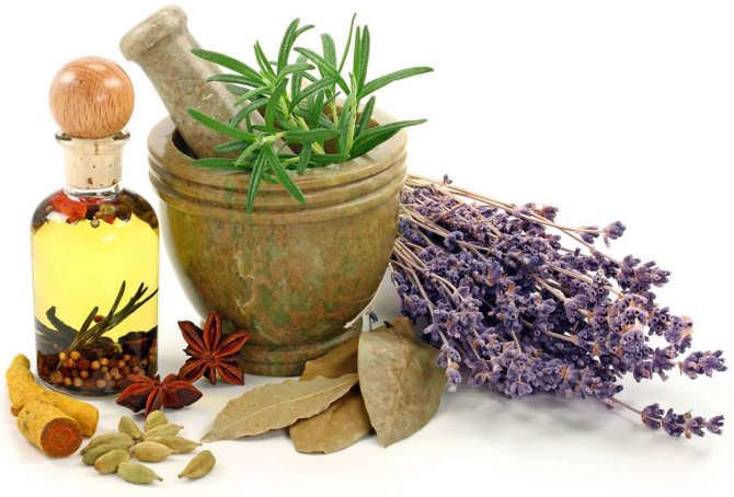 Лечение аллергии народными средствами