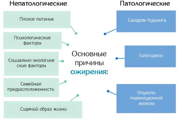 Орсотен Слим для похудения. Инструкция по применению, цена, отзывы