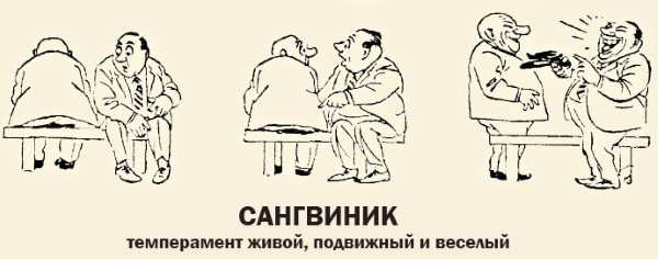 Препарат для улучшения памяти и работы мозга, внимания, остроты ума. Таблетки, витамины: список, цены