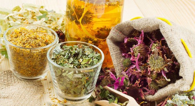 Приготовить сбор из цветов